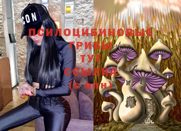 дмт Армянск