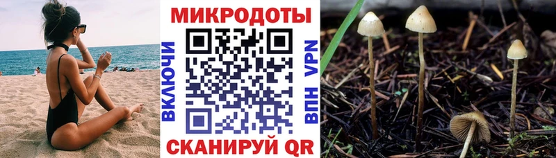 blacksprut   Лениногорск  Псилоцибиновые грибы GOLDEN TEACHER  купить  